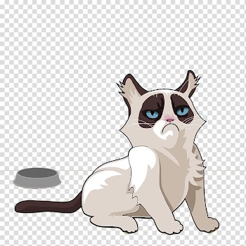 Persian cat Grumpy Cat Mug Christmas decoration Christmas ornament, A cartoon cat transparent background PNG clipart