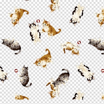 Persian cat Kitten Dogu2013cat relationship Cat play and toys, Color kitten transparent background PNG clipart