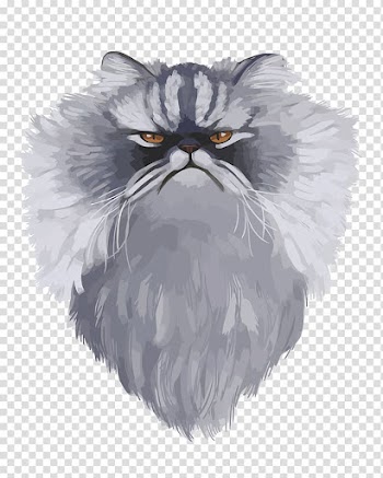 Persian cat Kitten Hello Kitty Whiskers Caricature, watercolor cat transparent background PNG clipart