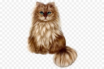 Persian Cat, Kitten, Pet, Cat, Mammal PNG
