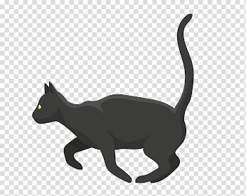 Persian cat Maine Coon Sphynx cat British Shorthair Siamese cat, The cat at night transparent background PNG clipart