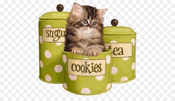 Persian cat Tabby cat Cat lady Dog Black Cat and Moon -  
