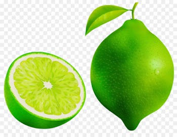 persian lime green fruit citrus plant