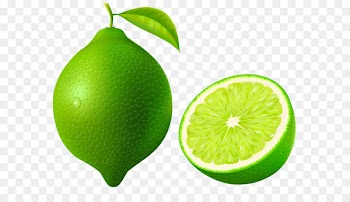 Persian lime Lemon-lime drink Key lime - Green Lime PNG Vector Clipart Image 
