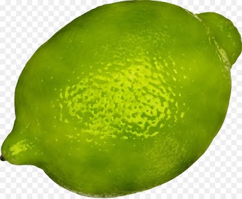 persian lime lime citrus fruit green