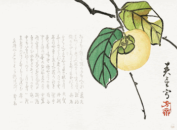 Persimmon (1854-1859) by Shunsei. Original | Free Photo Illustration - rawpixel