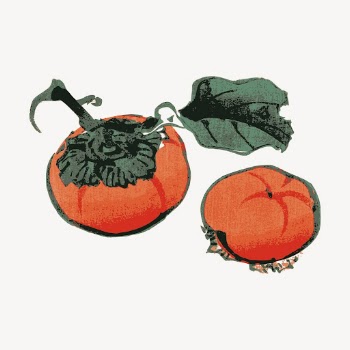 Persimmon clipart, vintage fruit illustration | Free Vector - rawpixel
