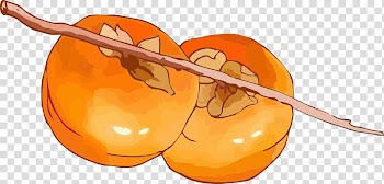 Persimmon Fruit, Two persimmon transparent background PNG clipart