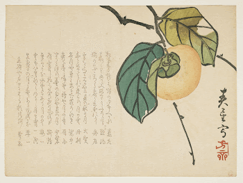 (Persimmon)Original from the Minneapolis Institute | Free Photo - rawpixel