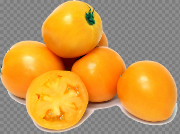 Persimmon Picture