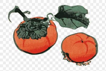 Persimmon png sticker vintage fruit | Free PNG - rawpixel