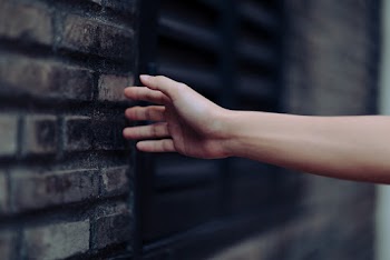 Person's Arm Near Brick Wall