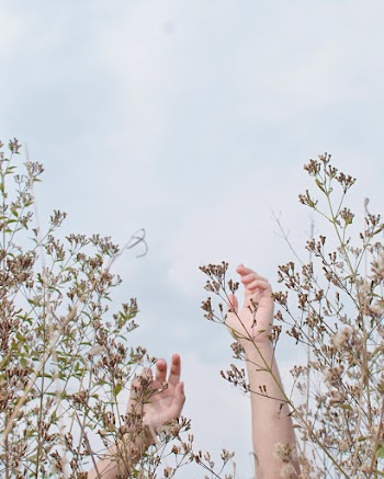 Person's Arms Raised Towards the Sky