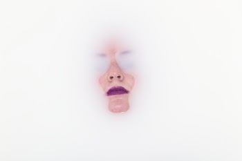 Person's Face
