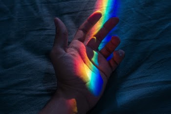 Person's Hand