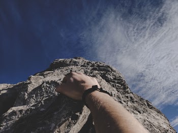 Person's Hand