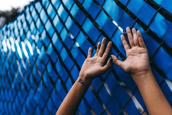 Person's Hand