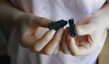 Person's Hand Holding Black Biscuit