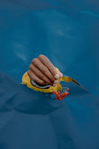 Person's Hand Holding Cherries