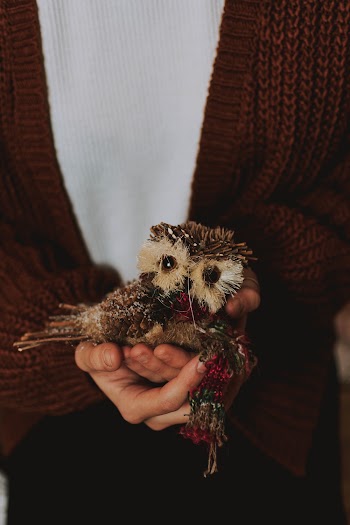 Person's Hand Holding Owl Decor