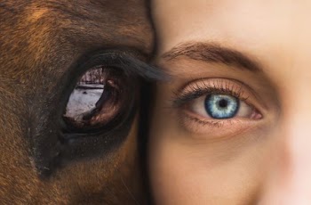 person and animal faces