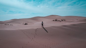 Person At The Desert