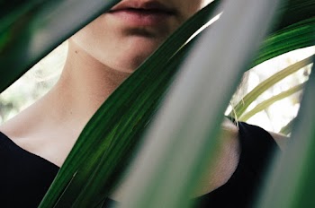 Person Behind A Plant
