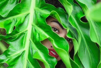 Person Behind Green Leaves