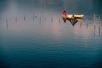 person board on boat above body of water
