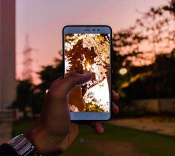 Person Capturing Tree