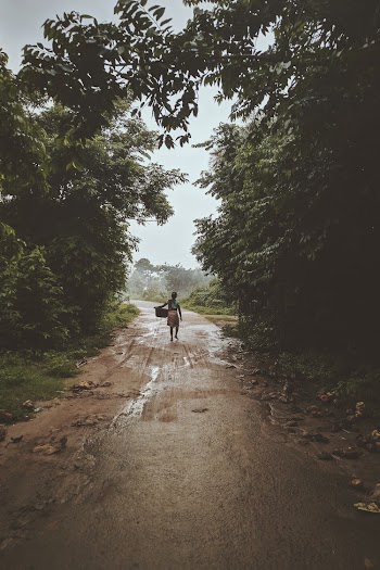 Person Carrying a Basket While Walking Near Trees