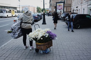 person carrying flowers