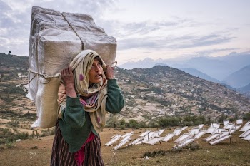 Person carrying Lokta bark paper | Free Photo - rawpixel