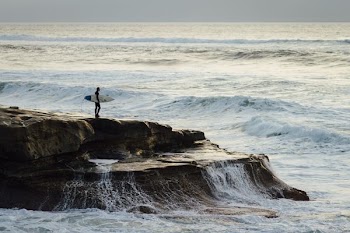 person carrying surfboard standing near seashore