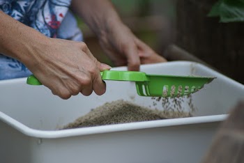 Person Cleaning A Cat Litter Box