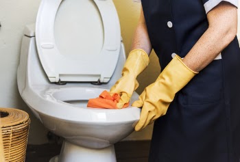 Person Cleaning Flush Toilet