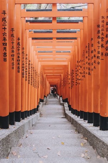 person climbing on stairs with orange pillars