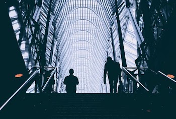 person climbing stair