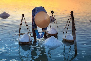 Person Collecting Salt on Body of Water