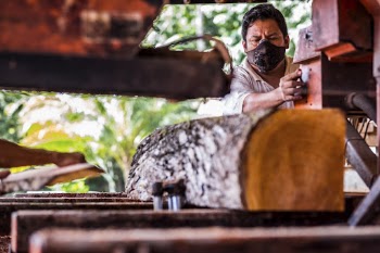 Person cutting wood, Uaxactun, Guatemala, | Free Photo - rawpixel