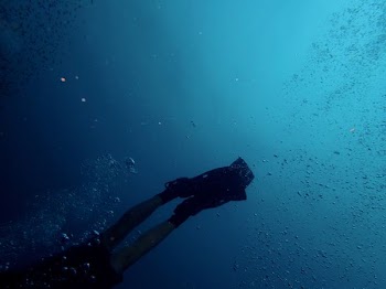 person diving under water