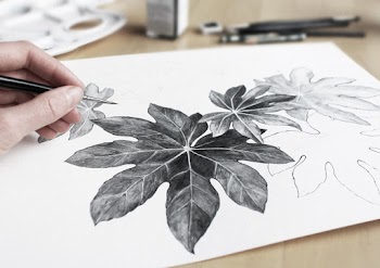 Person Drawing Leaves Using A Pencil 