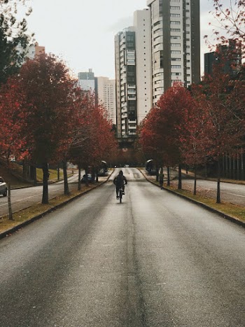 Person Driving Bicycle