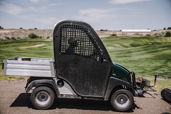 Person Driving Black and Green 2-door Cart