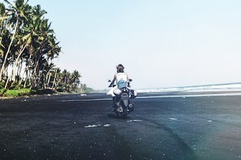 Person Driving Motorcycle Near Green Palm Trees