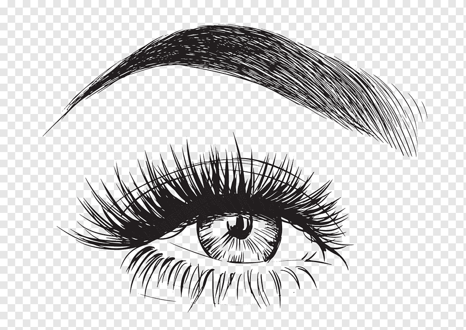 person eye illustration, Eyebrow Eyelash Face, Eye, black Hair, people, artificial Hair Integrations png