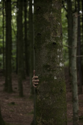 Person Hiding Behind Tree Trunk