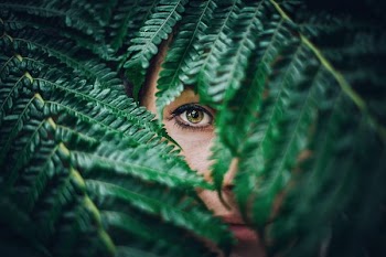 person hiding on tree leaves
