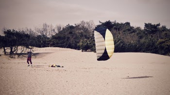 Person Holdign Black and Yellow Parachute