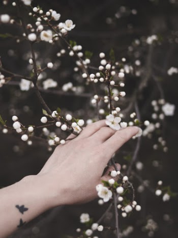 Person Holding a Branch